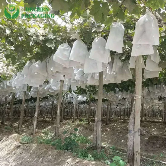 Sac de protection spécial pour la lutte antiparasitaire des fruits, raisins d'extérieur, sacs de culture de plantes résistants aux UV pour mangue